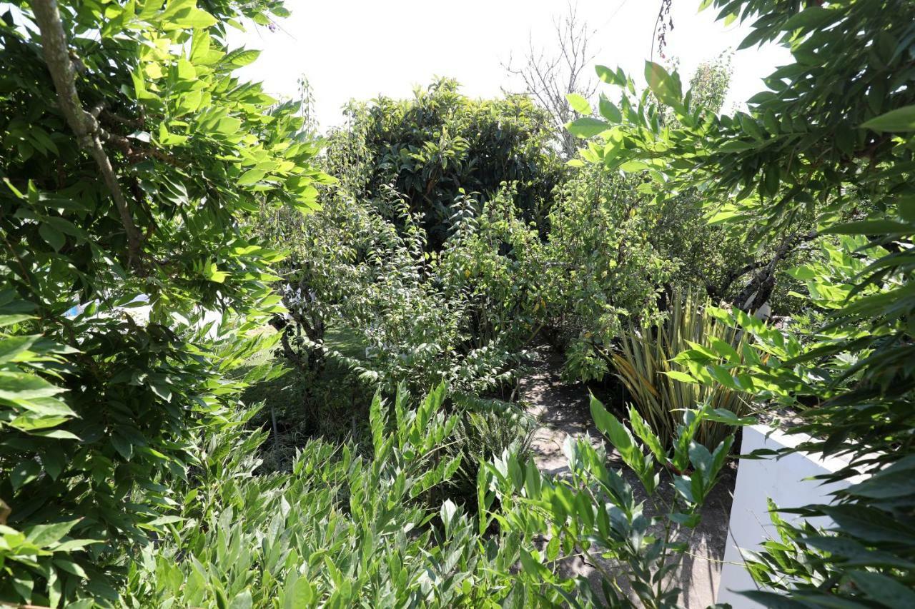 Casa Do Sobral Óbidos Exterior foto